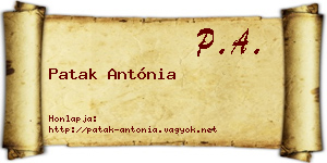 Patak Antónia névjegykártya